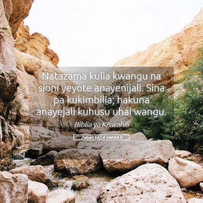 Picture 05 - Zaburi 142:4 SWHULB - Natazama kulia kwangu na sioni yeyote - Bible Verse Picture