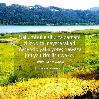 Picture 05 - Zaburi 143:5 SWHULB - Nakumbuka siku za zamani zilizopita; nayatafakari - Bible Verse Picture