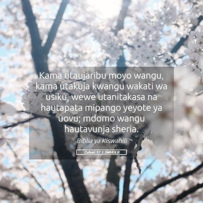 Picture 05 - Zaburi 17:3 SWHULB - Kama utaujaribu moyo wangu, kama utakuja kwangu - Bible Verse Picture