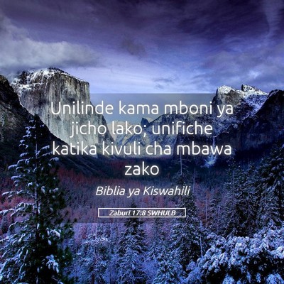 Picture 05 - Zaburi 17:8 SWHULB - Unilinde kama mboni ya jicho lako; unifiche - Bible Verse Picture