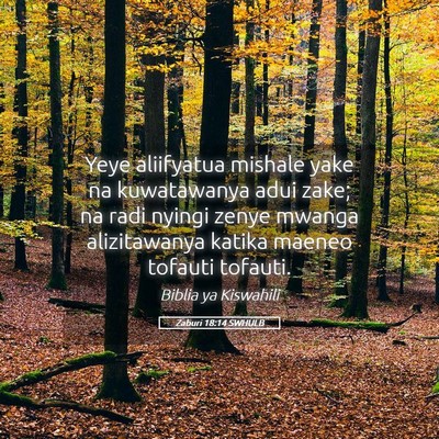 Picture 05 - Zaburi 18:14 SWHULB - Yeye aliifyatua mishale yake na kuwatawanya adui - Bible Verse Picture