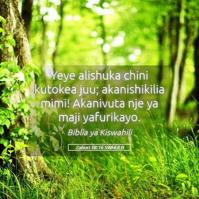 Picture 05 - Zaburi 18:16 SWHULB - Yeye alishuka chini kutokea juu; akanishikilia - Bible Verse Picture