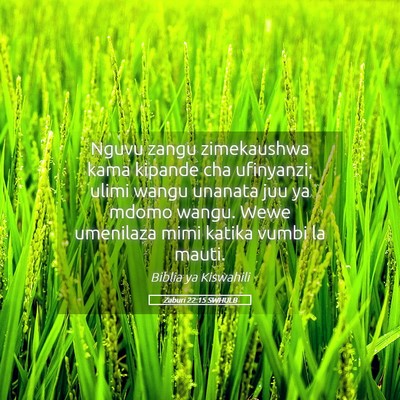Picture 05 - Zaburi 22:15 SWHULB - Nguvu zangu zimekaushwa kama kipande cha - Bible Verse Picture