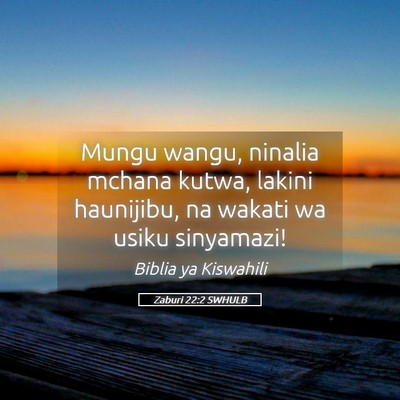 Picture 05 - Zaburi 22:2 SWHULB - Mungu wangu, ninalia mchana kutwa, lakini - Bible Verse Picture