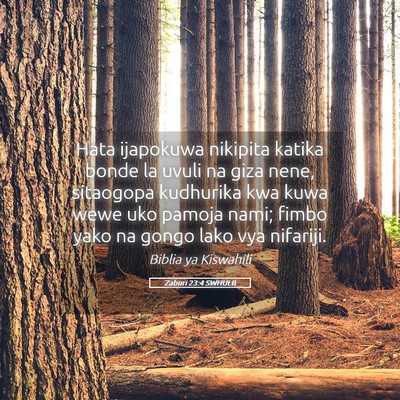 Picture 05 - Zaburi 23:4 SWHULB - Hata ijapokuwa nikipita katika bonde la uvuli na - Bible Verse Picture