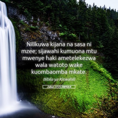 Picture 05 - Zaburi 37:25 SWHULB - Nilikuwa kijana na sasa ni mzee; sijawahi kumuona - Bible Verse Picture