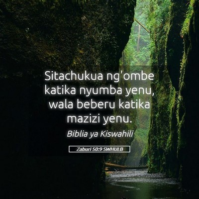Picture 05 - Zaburi 50:9 SWHULB - Sitachukua ng'ombe katika nyumba yenu, wala - Bible Verse Picture