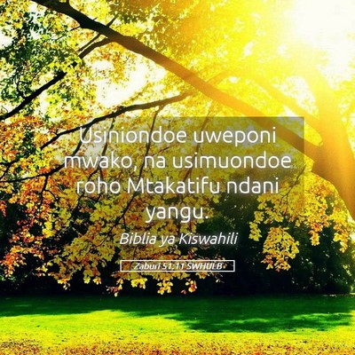 Picture 05 - Zaburi 51:11 SWHULB - Usiniondoe uweponi mwako, na usimuondoe roho - Bible Verse Picture