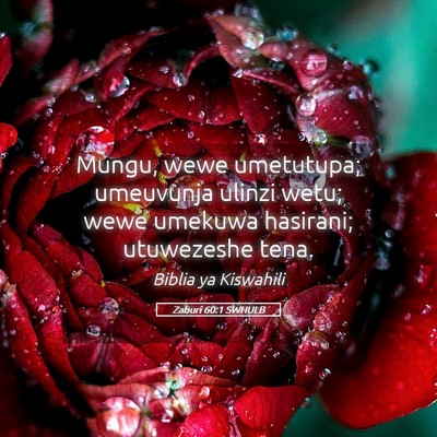 Picture 05 - Zaburi 60:1 SWHULB - Mungu, wewe umetutupa; umeuvunja ulinzi wetu; - Bible Verse Picture