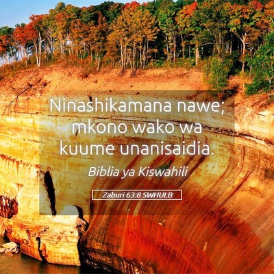 Picture 05 - Zaburi 63:8 SWHULB - Ninashikamana nawe; mkono wako wa kuume - Bible Verse Picture