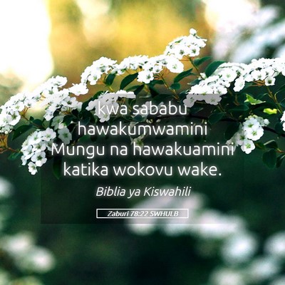 Picture 05 - Zaburi 78:22 SWHULB - kwa sababu hawakumwamini Mungu na hawakuamini - Bible Verse Picture