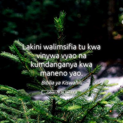 Picture 05 - Zaburi 78:36 SWHULB - Lakini walimsifia tu kwa vinywa vyao na - Bible Verse Picture