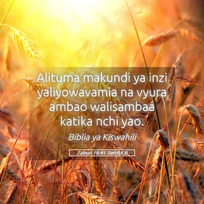 Picture 05 - Zaburi 78:45 SWHULB - Alituma makundi ya inzi yaliyowavamia na vyura - Bible Verse Picture