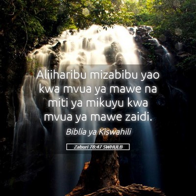 Picture 05 - Zaburi 78:47 SWHULB - Aliiharibu mizabibu yao kwa mvua ya mawe na miti - Bible Verse Picture