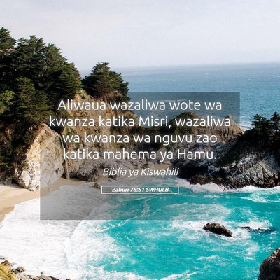 Picture 05 - Zaburi 78:51 SWHULB - Aliwaua wazaliwa wote wa kwanza katika Misri, - Bible Verse Picture