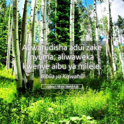 Picture 05 - Zaburi 78:66 SWHULB - Aliwarudisha adui zake nyuma; aliwaweka kwenye - Bible Verse Picture
