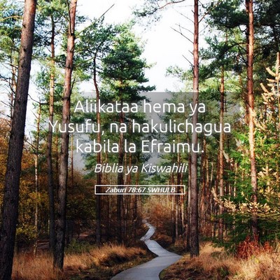 Picture 05 - Zaburi 78:67 SWHULB - Aliikataa hema ya Yusufu, na hakulichagua kabila - Bible Verse Picture
