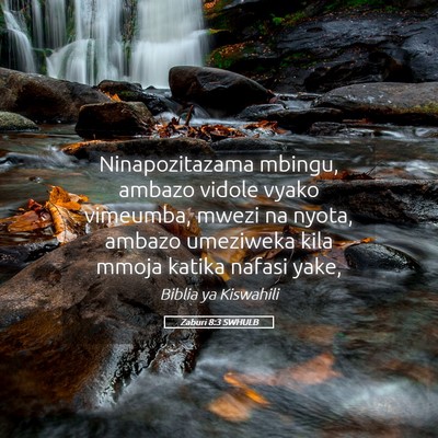 Picture 05 - Zaburi 8:3 SWHULB - Ninapozitazama mbingu, ambazo vidole vyako - Bible Verse Picture