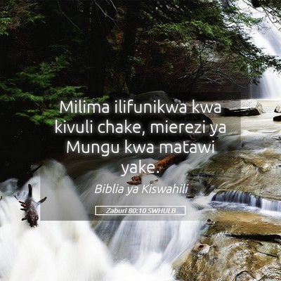 Picture 05 - Zaburi 80:10 SWHULB - Milima ilifunikwa kwa kivuli chake, mierezi ya - Bible Verse Picture