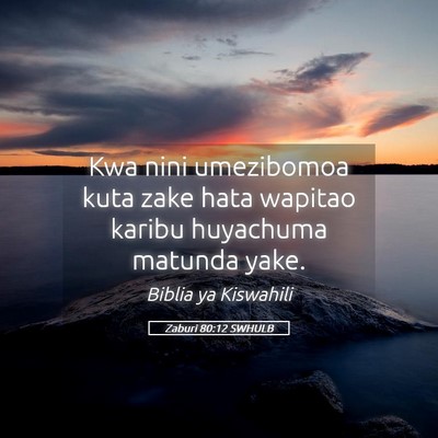 Picture 05 - Zaburi 80:12 SWHULB - Kwa nini umezibomoa kuta zake hata wapitao karibu - Bible Verse Picture