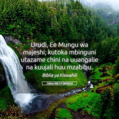 Picture 05 - Zaburi 80:14 SWHULB - Urudi, Ee Mungu wa majeshi; kutoka mbinguni - Bible Verse Picture