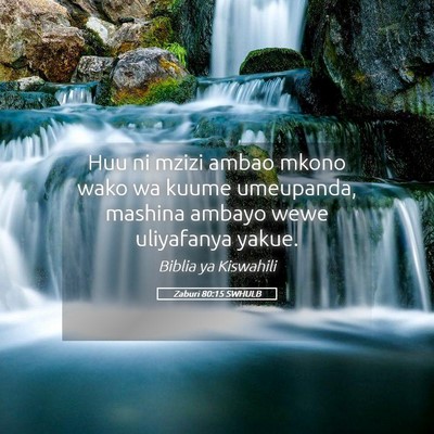 Picture 05 - Zaburi 80:15 SWHULB - Huu ni mzizi ambao mkono wako wa kuume umeupanda, - Bible Verse Picture