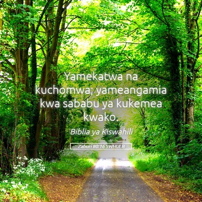 Picture 05 - Zaburi 80:16 SWHULB - Yamekatwa na kuchomwa; yameangamia kwa sababu ya - Bible Verse Picture