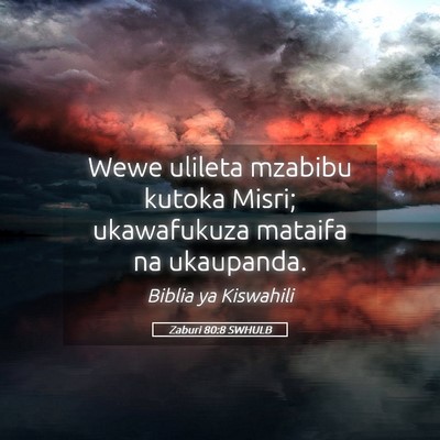 Picture 05 - Zaburi 80:8 SWHULB - Wewe ulileta mzabibu kutoka Misri; ukawafukuza - Bible Verse Picture