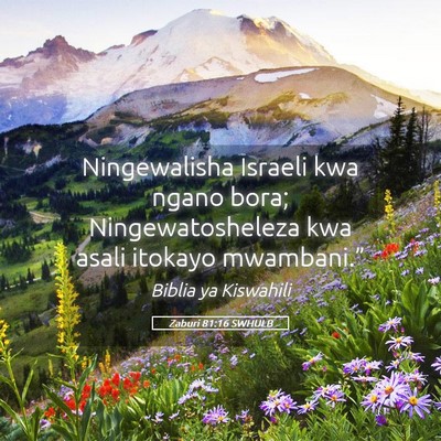 Picture 05 - Zaburi 81:16 SWHULB - Ningewalisha Israeli kwa ngano bora; - Bible Verse Picture