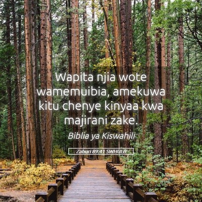 Picture 05 - Zaburi 89:41 SWHULB - Wapita njia wote wamemuibia, amekuwa kitu chenye - Bible Verse Picture