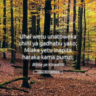 Picture 05 - Zaburi 90:9 SWHULB - Uhai wetu unatoweka chini ya gadhabu yako; Miaka - Bible Verse Picture