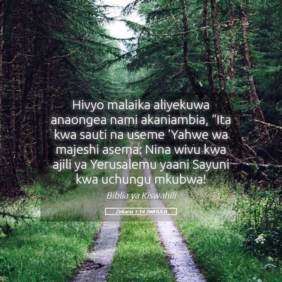 Picture 05 - Zekaria 1:14 SWHULB - Hivyo malaika aliyekuwa anaongea nami akaniambia, - Bible Verse Picture