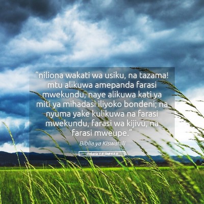 Picture 05 - Zekaria 1:8 SWHULB - “niliona wakati wa usiku, na tazama! mtu - Bible Verse Picture