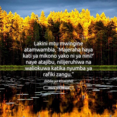 Picture 05 - Zekaria 13:6 SWHULB - Lakini mtu mwingine atamwambia, 'Majeraha haya - Bible Verse Picture