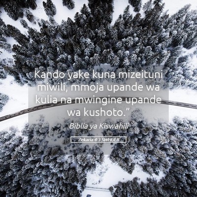 Picture 05 - Zekaria 4:3 SWHULB - Kando yake kuna mizeituni miwili, mmoja upande wa - Bible Verse Picture