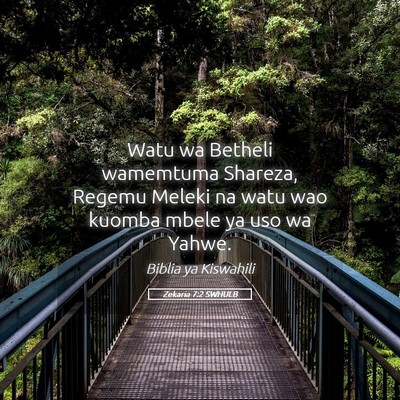 Picture 05 - Zekaria 7:2 SWHULB - Watu wa Betheli wamemtuma Shareza, Regemu Meleki - Bible Verse Picture