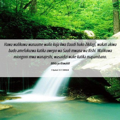 Picture 06 - 1 Nyakati 12:1 SWHULB - Hawa walikuwa wanaume walio kuja kwa Daudi huko - Bible Verse Picture