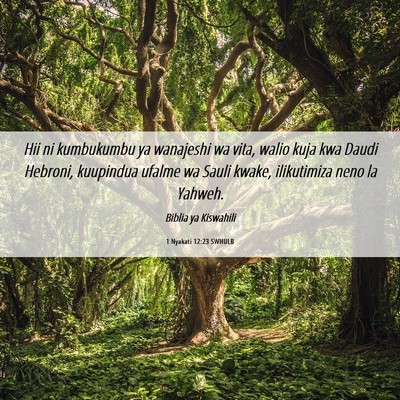 Picture 06 - 1 Nyakati 12:23 SWHULB - Hii ni kumbukumbu ya wanajeshi wa vita, walio - Bible Verse Picture