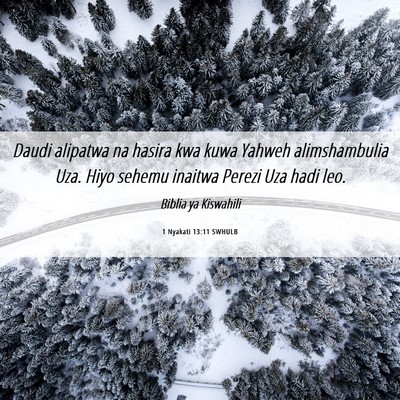 Picture 06 - 1 Nyakati 13:11 SWHULB - Daudi alipatwa na hasira kwa kuwa Yahweh - Bible Verse Picture