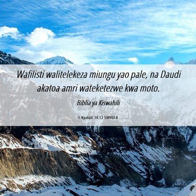 Picture 06 - 1 Nyakati 14:12 SWHULB - Wafilisti walitelekeza miungu yao pale, na Daudi - Bible Verse Picture