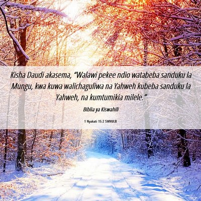 Picture 06 - 1 Nyakati 15:2 SWHULB - Kisha Daudi akasema, “Walawi pekee ndio - Bible Verse Picture