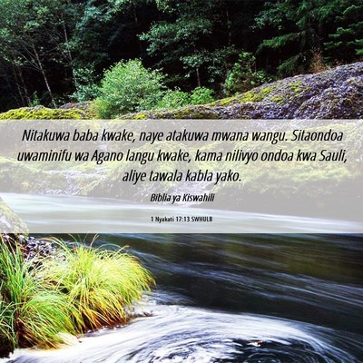 Picture 06 - 1 Nyakati 17:13 SWHULB - Nitakuwa baba kwake, naye atakuwa mwana wangu. - Bible Verse Picture