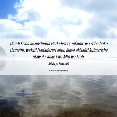 Picture 06 - 1 Nyakati 18:3 SWHULB - Daudi kisha akamshinda Hadadezeri, mfalme wa Zoba - Bible Verse Picture