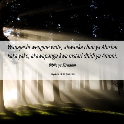 Picture 06 - 1 Nyakati 19:11 SWHULB - Wanajeshi wengine wote, aliwaeka chini ya Abishai - Bible Verse Picture