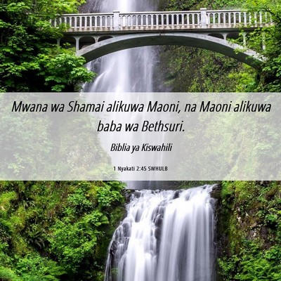 Picture 06 - 1 Nyakati 2:45 SWHULB - Mwana wa Shamai alikuwa Maoni, na Maoni alikuwa - Bible Verse Picture