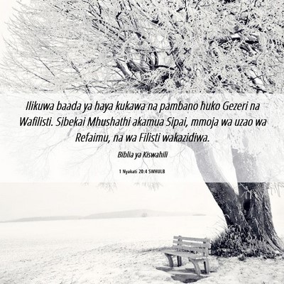 Picture 06 - 1 Nyakati 20:4 SWHULB - Ilikuwa baada ya haya kukawa na pambano huko - Bible Verse Picture