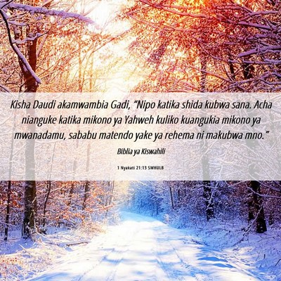 Picture 06 - 1 Nyakati 21:13 SWHULB - Kisha Daudi akamwambia Gadi, “Nipo katika shida - Bible Verse Picture