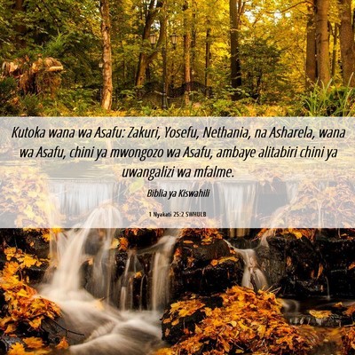 Picture 06 - 1 Nyakati 25:2 SWHULB - Kutoka wana wa Asafu: Zakuri, Yosefu, Nethania, - Bible Verse Picture
