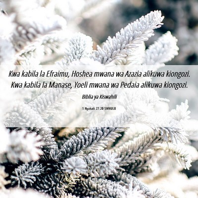Picture 06 - 1 Nyakati 27:20 SWHULB - Kwa kabila la Efraimu, Hoshea mwana wa Azazia - Bible Verse Picture
