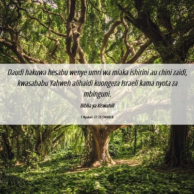 Picture 06 - 1 Nyakati 27:23 SWHULB - Daudi hakuwa hesabu wenye umri wa miaka ishirini - Bible Verse Picture